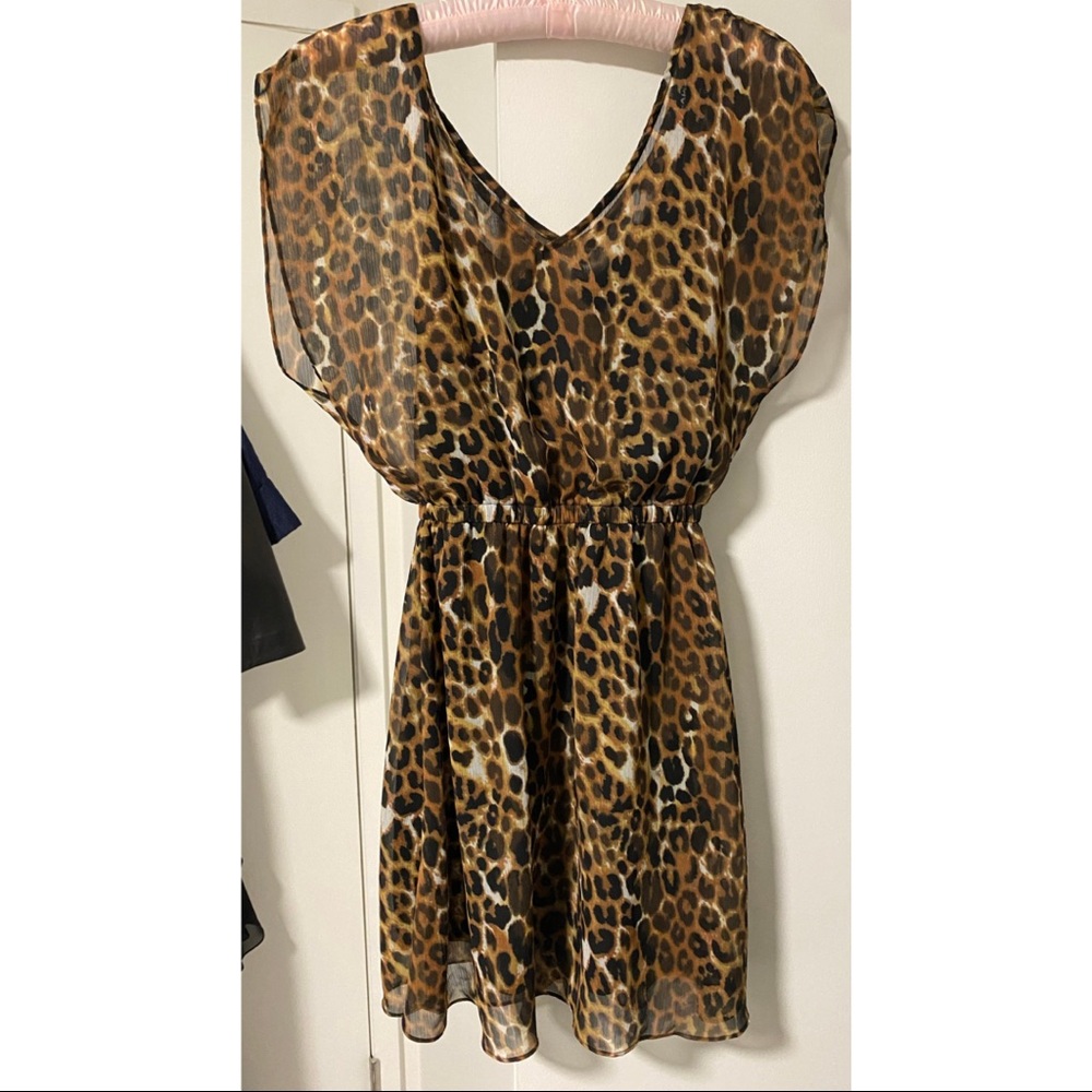 Express Leopard Print Dress